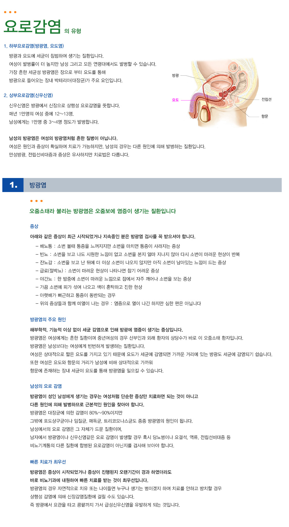 요로계 감염